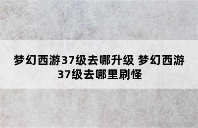 梦幻西游37级去哪升级 梦幻西游37级去哪里刷怪